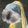 lilieberoseannie