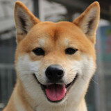 laogouduwangwang