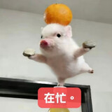 jianglinwoshouxin