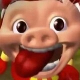 xianghenailvdaroumi