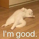 xiaowullll