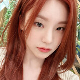 xindongbaituo