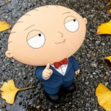 hajijiaostewie