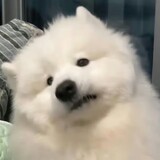 qiuguguguming