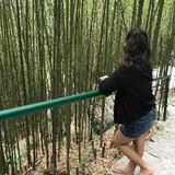 zel_non2