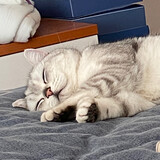 meyouyouzi