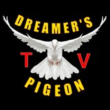 Dreamer's Pigeon TV