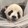 zhengdanliyoushenme