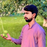 Mian Waseem Sheikh