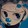 imcup