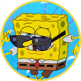 spongedaily.id
