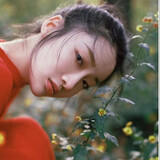 beiwulijiayi