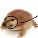 xinianexit