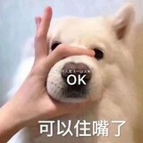 yonghejiunian