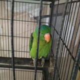 Im watching just upload