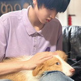 daidai___gmiguixiale