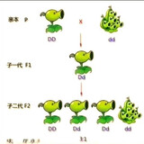 jiaohuadeyiqi