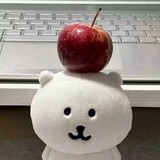 youxianのshiba