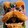 gnirpsfonwad