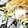 usani_03
