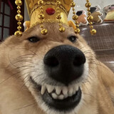 zhaliecaodaoshou