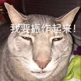 jinzixiangxiang