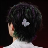 yandongxue
