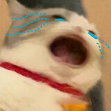 wandongtediaoxing