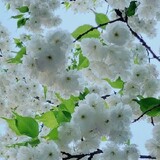 bili_46254196493