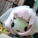 Giros emu nui (real)