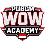 bogr_pubgm