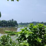 sozibhossain