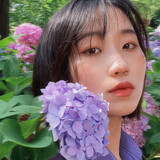 yifeijun