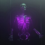 エルンスト・オルカシタス