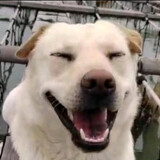 haigouyitiao