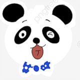 หมาแพนดี้