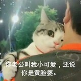 baixiaolei
