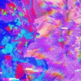shi011