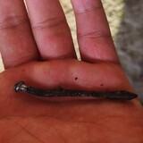 Joven Gilbert Isidro