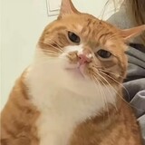 beihaibuzhiyouyu