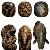 animales reales