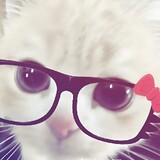 hhdafhg
