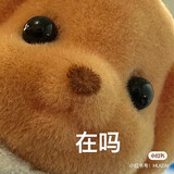 xiaoningzhenbucuo