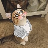 ____oyouwu____cha