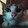 cat in the grave