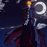 Kurosaki×Ichigo