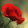 rouroulianxibu
