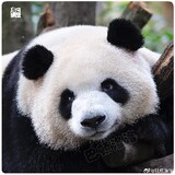 zhuanyejianxijieken