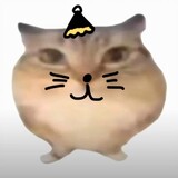 ___touyingpeipei