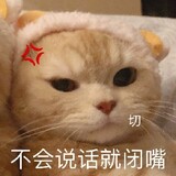jiaowozhuzhu___